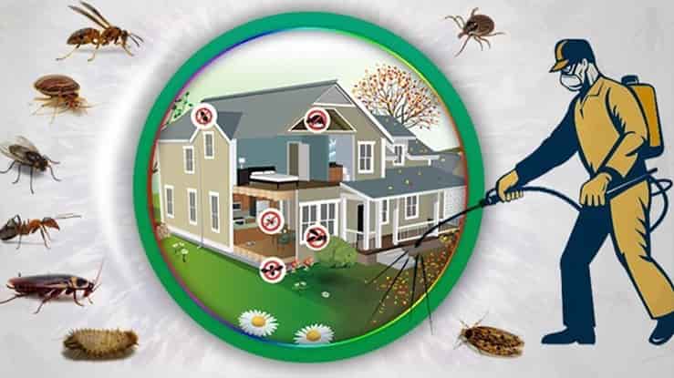 Best home cleaning General Pest Control