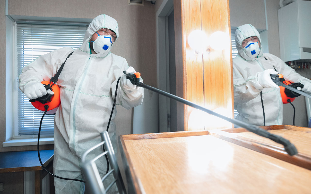 Best sofa cleaning services in delhi